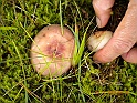 camera 075